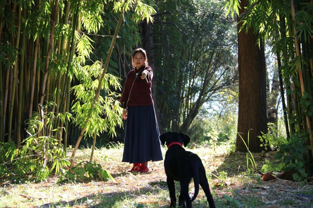 竹林边的人与狗 / A person and a dog by the bamboo
