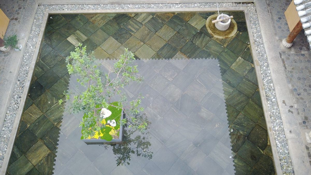 从楼上俯看天井里的水池与树 / Looking down at the pool and tree in the courtyard