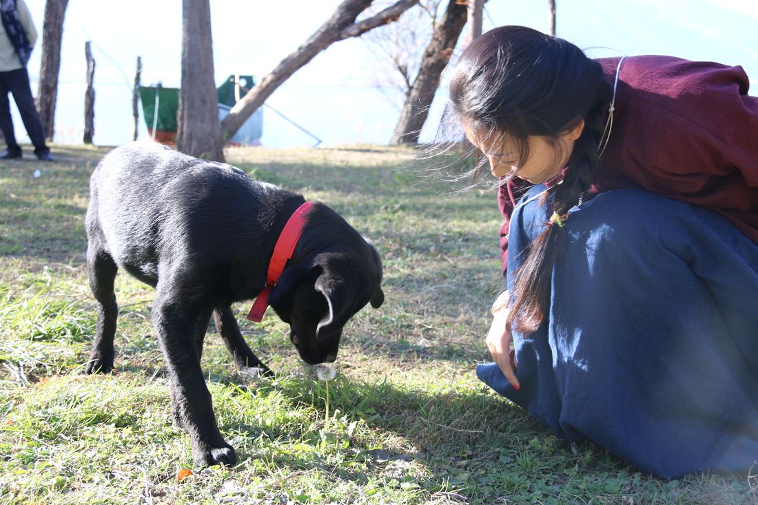 人和一只黑狗 / A person with a black dog
